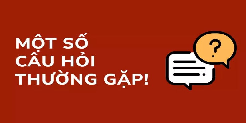 Câu hỏi thường gặp về chất lượng của nhà cái